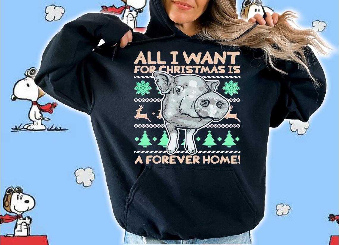 All I want for Christmas is a forever home big shirt t-shirt