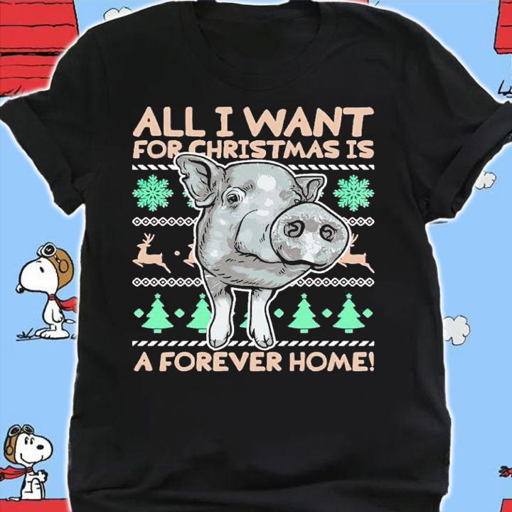 All I want for Christmas is a forever home big shirt t-shirt
